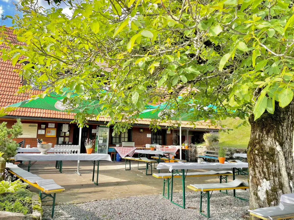 Gedeckte Tische im Biergarten unter einem Laubbaum