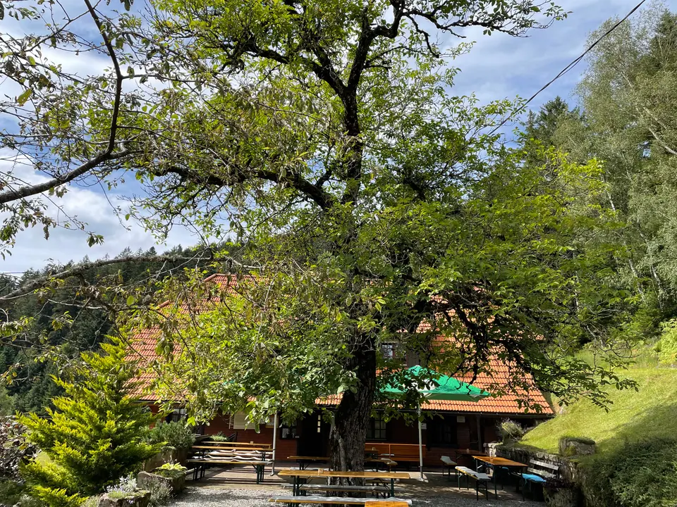Sommerlicher Biergarten vor der Vesperstube, umgeben von Bäumen am Waldrand