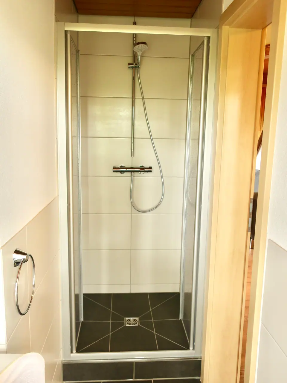 Ferienwohnung Bergseite: Dusche im Tageslichtbad