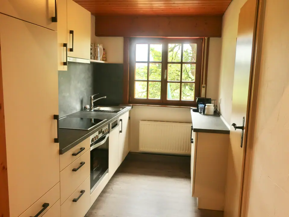 Ferienwohnung Bergseite: Küche mit Herd, Backofen und Kühlschrank