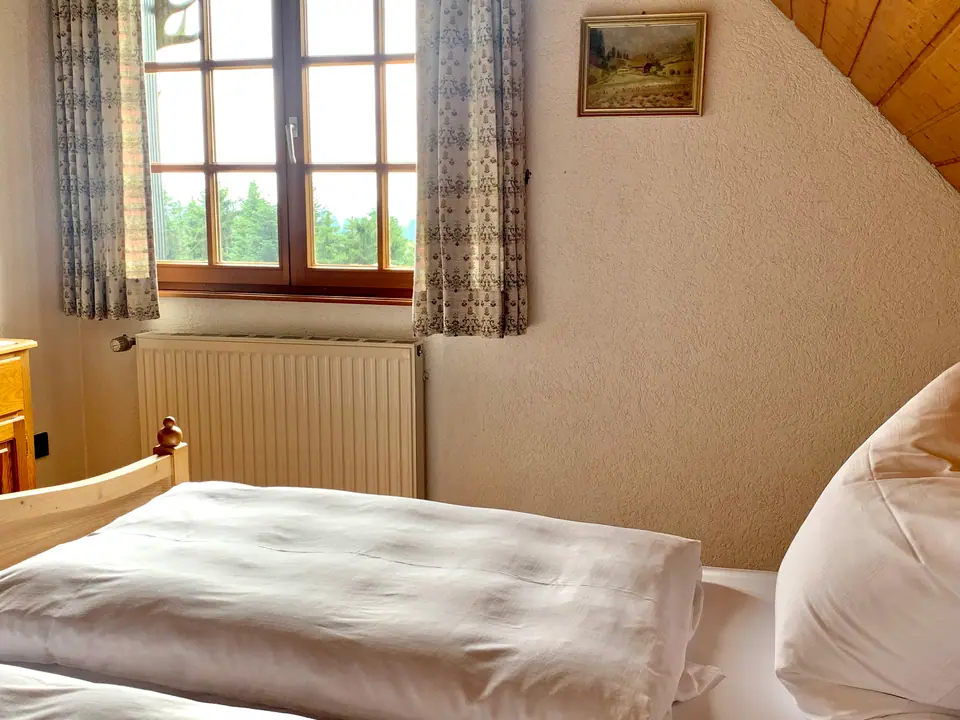 Ferienwohnung Talseite: Schlafzimmer mit Kingsize-Bett und Blick ins Grüne