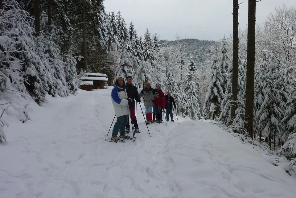 Schneeschuhwanderer auf einem verschneiten Waldweg im Winter