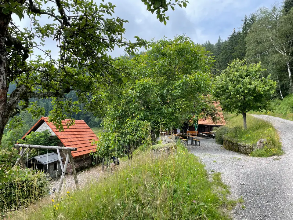 Schotterweg zum Schmalzerhisli zwischen Wiesen und Obstbäumen auf dem Schwarzenbruch